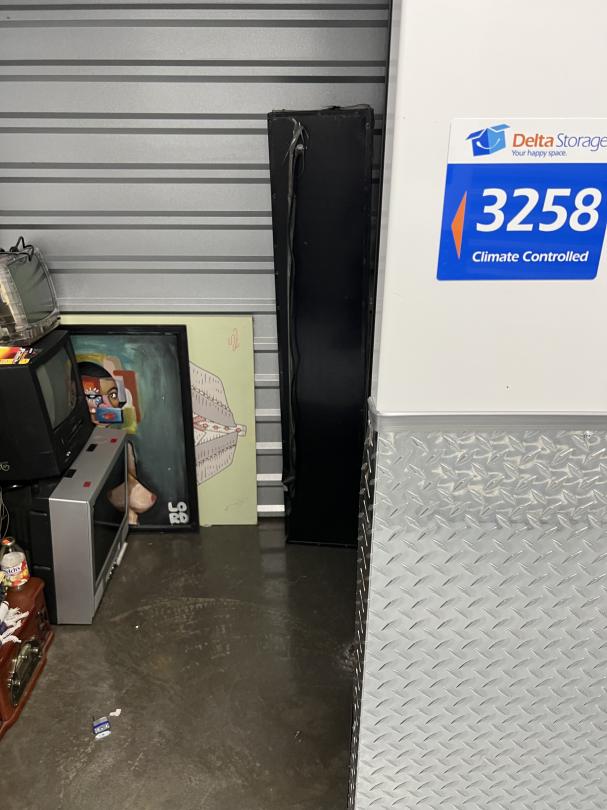 Storage Unit Auction in Brooklyn, NY at Delta SelfStorage Brooklyn